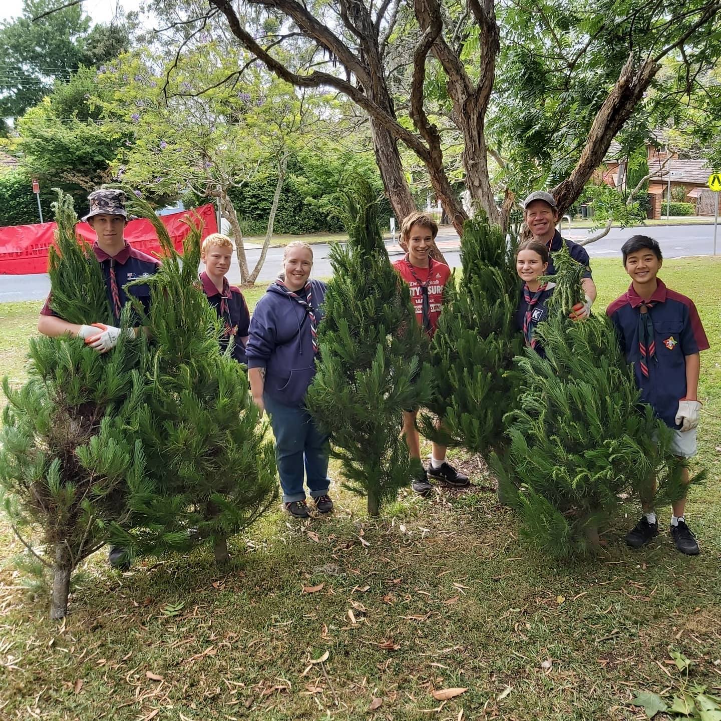 Get Your Christmas Tree from Scouts Sydney North Region Scouts