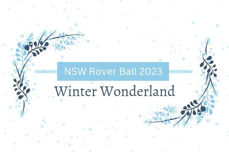 Read more about the article NSW Rover Ball