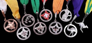 Read more about the article 2026 Adult Recognition Awards