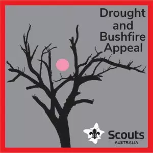 Read more about the article Scouts NSW Drought & Bushfire Appeal Badge