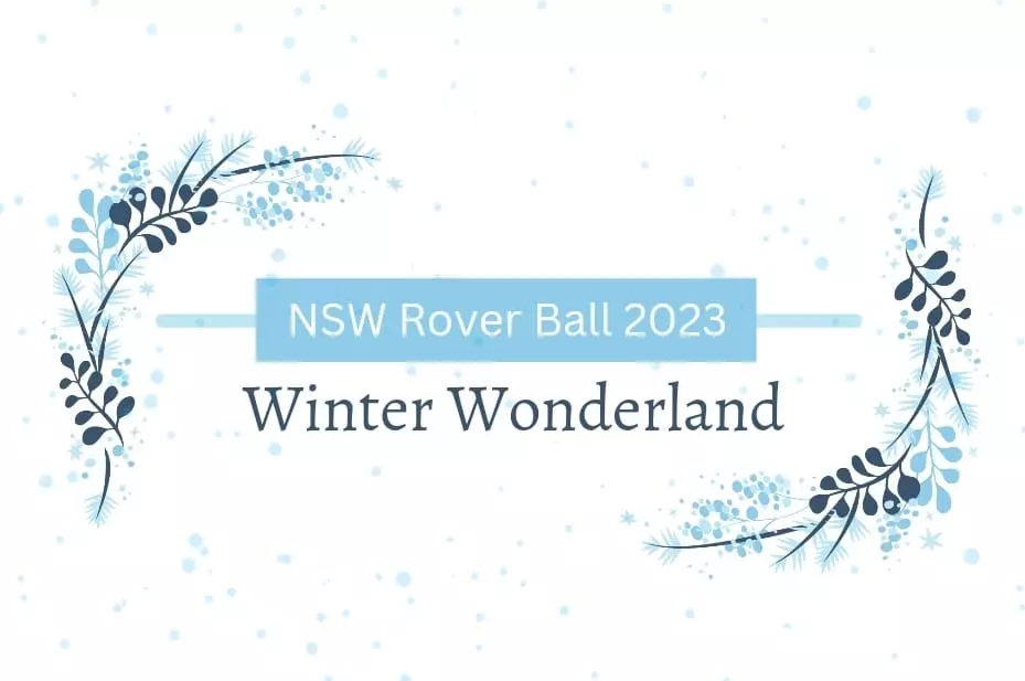 Read more about the article NSW Rover Ball